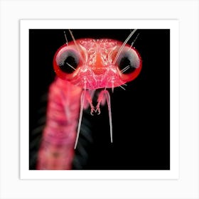 Red Flies Head Art Print