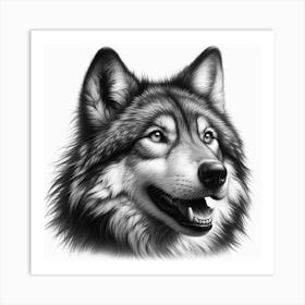 Grey wolf 4 Art Print