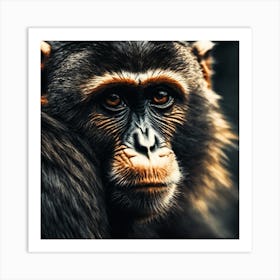 Chimpanzee 6 Art Print