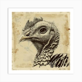 Turkey Head Art Print