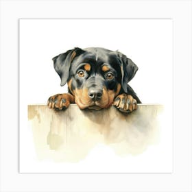 Rottweiler 3 Art Print