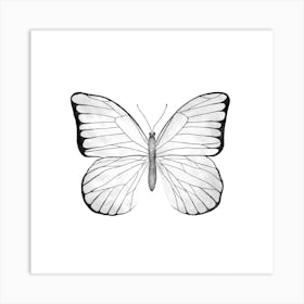 White Butterfly Square Art Print