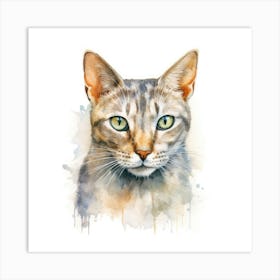 Seychellois Cat Portrait 2 Art Print