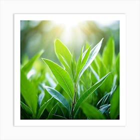 Ecology Plant Green Nature Garden Flora Fresh Leaf Summer Natural Environment Spring Gra (6) Art Print