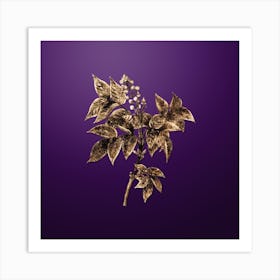 Gold Botanical European Bladdernut on Royal Purple n.3169 Art Print