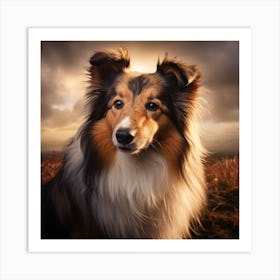 Shetland Sheepdog Art Print