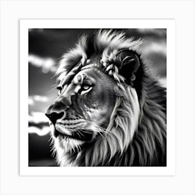 Lion Portrait 3 Art Print