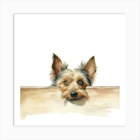 Silky Terrier Art Print