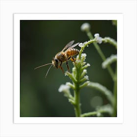 Bee On A Flower 1 Art Print