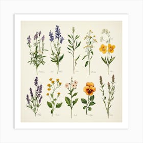 Wildflowers 13 Art Print