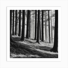 Black And White Forest Art Print