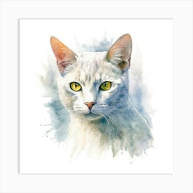 Burmilla Cat Portrait 1 Art Print