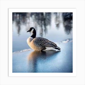 Canadian Geese 9 Art Print