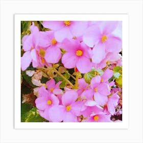 Pink Flowers 4 Art Print