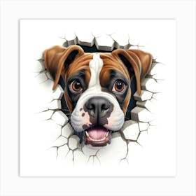 Boxer Dog 5 Art Print