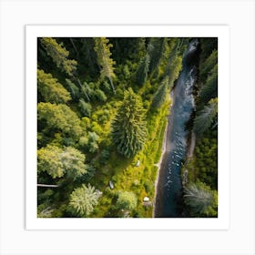 Fresh Springtime View Of A Tall Spruce Pine Tree Located In A Breathtakingly Scenic Rural Park In S (2) Poster