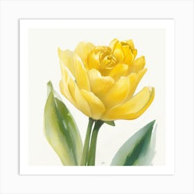 Yellow Tulip Rose Painted In Watercolor 1 Art Print