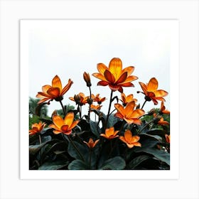 Orange Lotus Flower Art Print