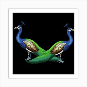 Peacocks Art Print