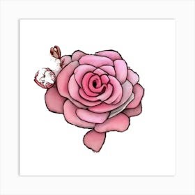 Pink Rose Art Print