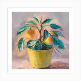 Oranges In A Pot 16 Art Print