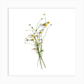 Yellow Wildflowers Art Print