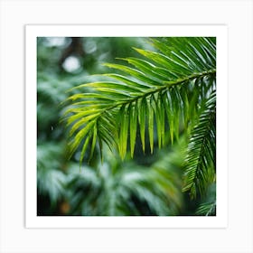 Rainy Day In The Jungle Art Print