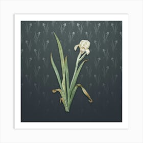 Vintage Crimean Iris Botanical on Slate Gray Pattern n.1245 Art Print