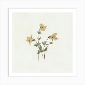 Larkspur Art Print