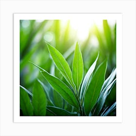 Ecology Plant Green Nature Garden Flora Fresh Leaf Summer Natural Environment Spring Gra Art Print