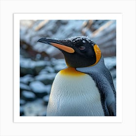 King Penguin 8 Art Print