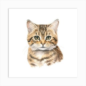 Blackfooted Cat Portrait 2 Art Print