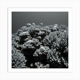 Coral Reef104 Art Print