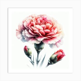 Carnation Art Print