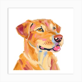 Labrador Retriever 01 Art Print