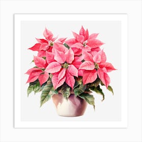 Poinsettia Art Print