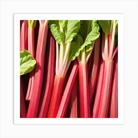 Rhubarb 18 Art Print