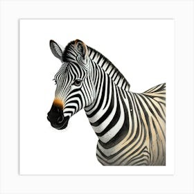 Majestic Zebra Portrait Realistic Safari Animal Art Print