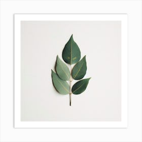 Eucalyptus Leaf 2 Art Print