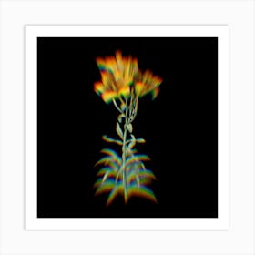 Prism Shift Fire Lily Botanical Illustration on Black n.0234 Art Print