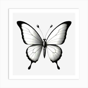 Butterfly On A Black Background Art Print