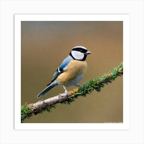 Tit on branch 49 Art Print