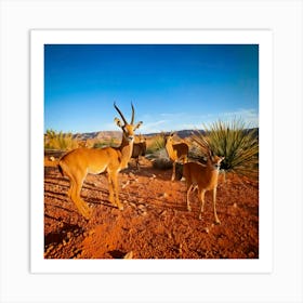 Firefly Desert Wildlife Capturing The Beauty Of Desert Animals Poster