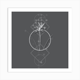 Vintage Spanish Iris Botanical with Line Motif and Dot Pattern in Ghost Gray n.0155 Art Print
