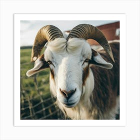 Goat With Horns Art Print