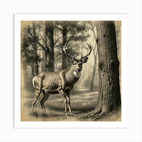 Deer In The Woods 14 Art Print