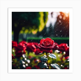 Raindrops Falling on Red Roses Art Print