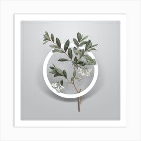 Vintage White Honeysuckle Plant Minimalist Botanical Geometric Circle on Soft Gray n.0548 Art Print