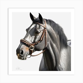 Grey Horse With Bridle Art Print