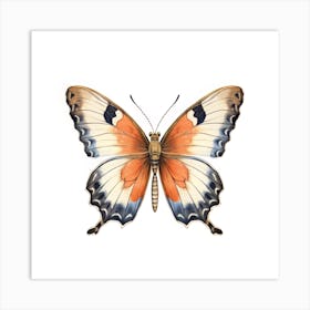 Butterfly 29 Art Print